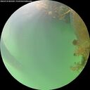 ./images/calvert/underwater/20260724/underwater20260724_081001M.jpg