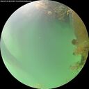 ./images/calvert/underwater/20260724/underwater20260724_081501M.jpg
