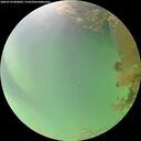 ./images/calvert/underwater/20260724/underwater20260724_084002M.jpg