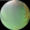 ./images/calvert/underwater/20260724/underwater20260724_090002M.jpg