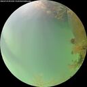 ./images/calvert/underwater/20260724/underwater20260724_091501M.jpg