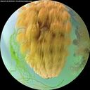 ./images/calvert/underwater/20260724/underwater20260724_092501M.jpg