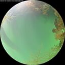 ./images/calvert/underwater/20260724/underwater20260724_101002M.jpg