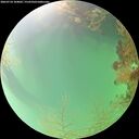 ./images/calvert/underwater/20260724/underwater20260724_104001M.jpg