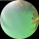 ./images/calvert/underwater/20260724/underwater20260724_112502M.jpg