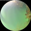 ./images/calvert/underwater/20260724/underwater20260724_132001M.jpg