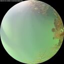 ./images/calvert/underwater/20260724/underwater20260724_133001M.jpg