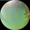 ./images/calvert/underwater/20260724/underwater20260724_134501M.jpg