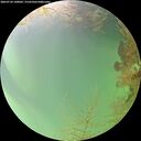 ./images/calvert/underwater/20260724/underwater20260724_140002M.jpg