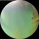 ./images/calvert/underwater/20260724/underwater20260724_140501M.jpg