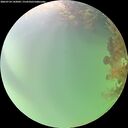 ./images/calvert/underwater/20260724/underwater20260724_142002M.jpg