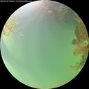 ./images/calvert/underwater/20260724/underwater20260724_143501M.jpg