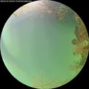 ./images/calvert/underwater/20260724/underwater20260724_145502M.jpg