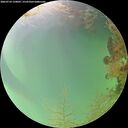 ./images/calvert/underwater/20260724/underwater20260724_150002M.jpg