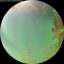 ./images/calvert/underwater/20260724/underwater20260724_152001M.jpg