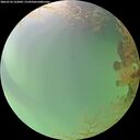 ./images/calvert/underwater/20260724/underwater20260724_162002M.jpg