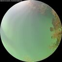 ./images/calvert/underwater/20260724/underwater20260724_163501M.jpg