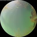 ./images/calvert/underwater/20260724/underwater20260724_201001M.jpg