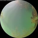 ./images/calvert/underwater/20260724/underwater20260724_203001M.jpg
