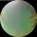 ./images/calvert/underwater/20260724/underwater20260724_203501M.jpg