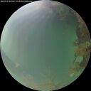 ./images/calvert/underwater/20260725/underwater20260725_055501M.jpg