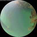 ./images/calvert/underwater/20260725/underwater20260725_062501M.jpg