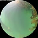 ./images/calvert/underwater/20260725/underwater20260725_064501M.jpg