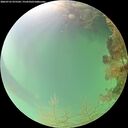 ./images/calvert/underwater/20260725/underwater20260725_075501M.jpg