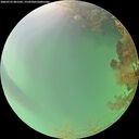 ./images/calvert/underwater/20260725/underwater20260725_081502M.jpg