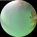 ./images/calvert/underwater/20260725/underwater20260725_082001M.jpg