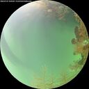 ./images/calvert/underwater/20260725/underwater20260725_104501M.jpg