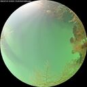 ./images/calvert/underwater/20260725/underwater20260725_131001M.jpg