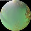 ./images/calvert/underwater/20260725/underwater20260725_134501M.jpg