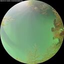 ./images/calvert/underwater/20260725/underwater20260725_135001M.jpg