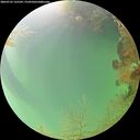 ./images/calvert/underwater/20260725/underwater20260725_135501M.jpg