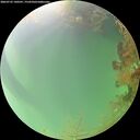 ./images/calvert/underwater/20260725/underwater20260725_140501M.jpg