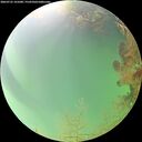./images/calvert/underwater/20260725/underwater20260725_141001M.jpg
