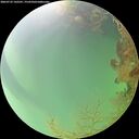 ./images/calvert/underwater/20260725/underwater20260725_142501M.jpg