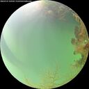 ./images/calvert/underwater/20260725/underwater20260725_143501M.jpg