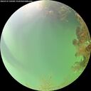 ./images/calvert/underwater/20260725/underwater20260725_150501M.jpg