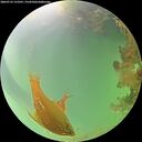 ./images/calvert/underwater/20260725/underwater20260725_153501M.jpg