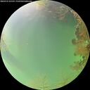 ./images/calvert/underwater/20260725/underwater20260725_161501M.jpg