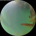 ./images/calvert/underwater/20260725/underwater20260725_200001M.jpg