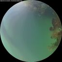 ./images/calvert/underwater/20260725/underwater20260725_210501M.jpg