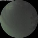 ./images/calvert/underwater/20260725/underwater20260725_222002M.jpg