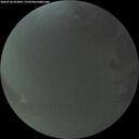 ./images/calvert/underwater/20260726/underwater20260726_052001M.jpg