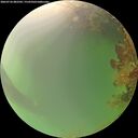 ./images/calvert/underwater/20260726/underwater20260726_082502M.jpg