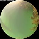 ./images/calvert/underwater/20260726/underwater20260726_083501M.jpg