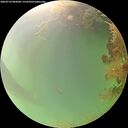 ./images/calvert/underwater/20260726/underwater20260726_084501M.jpg