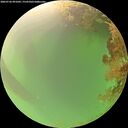 ./images/calvert/underwater/20260726/underwater20260726_091001M.jpg